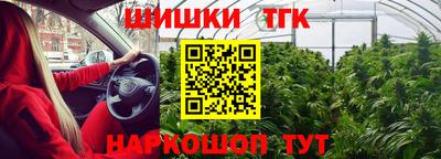 СК Коммунар
