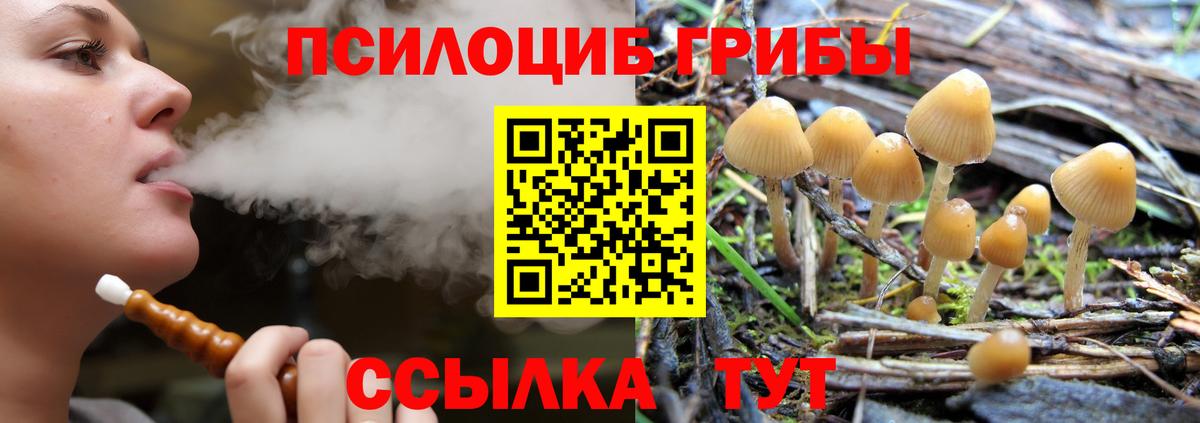 Меф  Альфа ПВП СОЛЬ кристаллы  МЕТ  Меф МЯУ МЯУ кристаллы  Касимов  ГАШИШ  Вход с VPN 